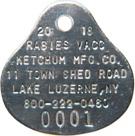 2010 Stainless Steel Teardrop -Special