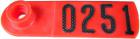View: Sheep Size - Female Numbered and Lettered