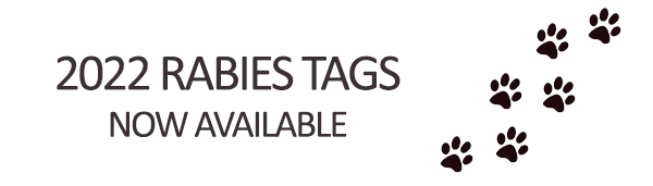 rabies tag что такое. Смотреть фото rabies tag что такое. Смотреть картинку rabies tag что такое. Картинка про rabies tag что такое. Фото rabies tag что такое