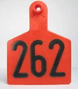 Cow Size Ear Tags - Lettered and Numbered