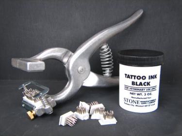 Stone Tattoo Set With Ear Release Large