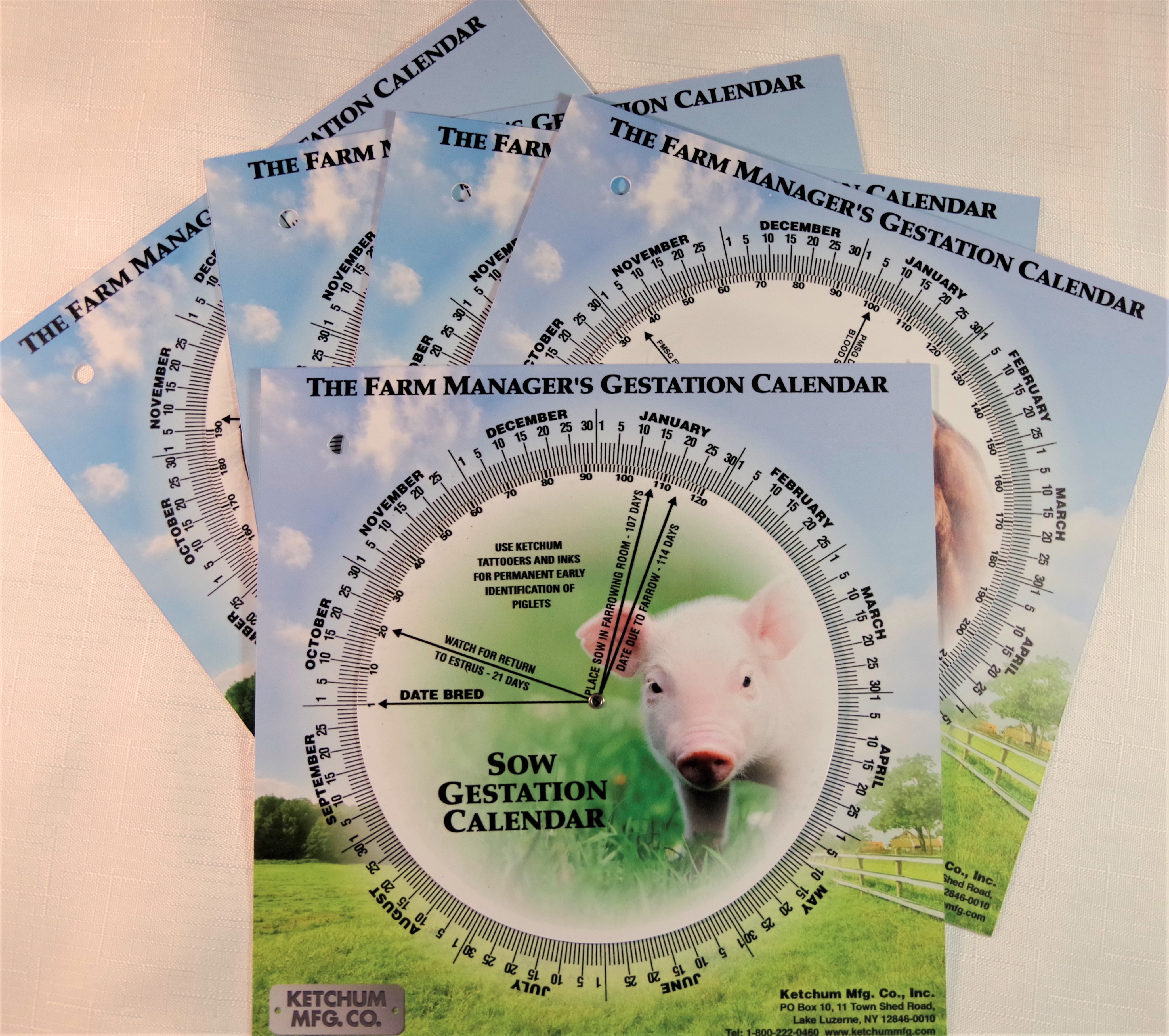 animal-gestation-calendar