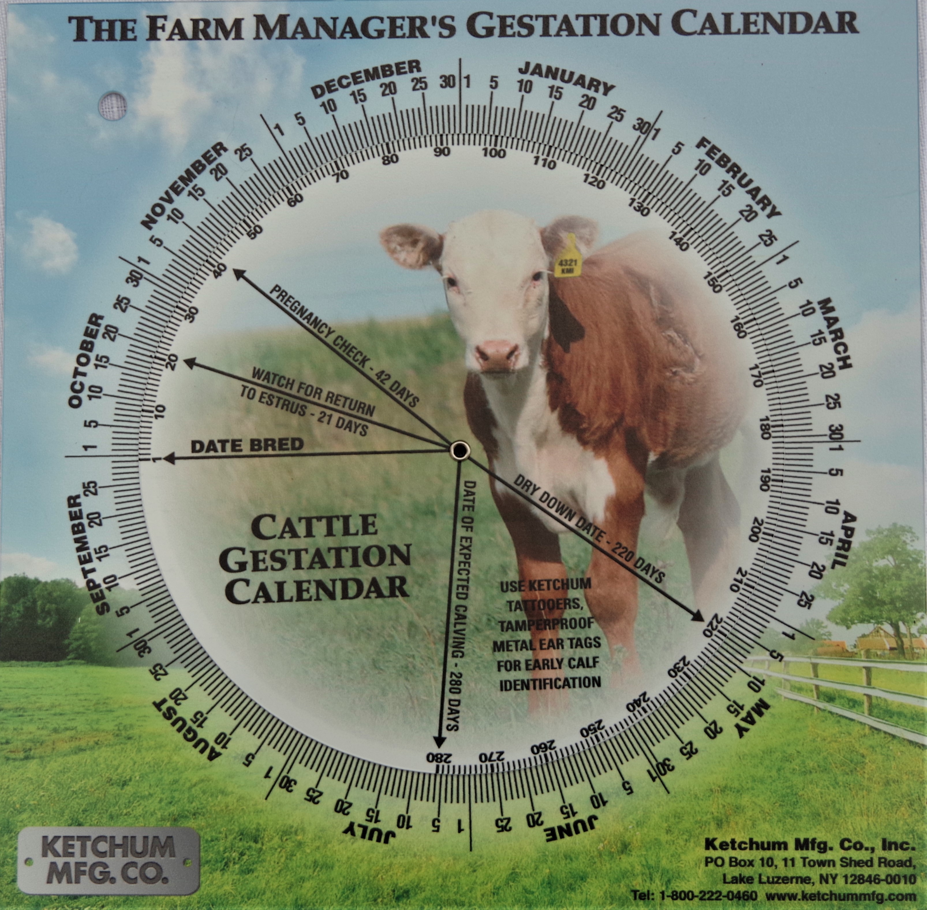 Animal Gestation Calendar Calculator